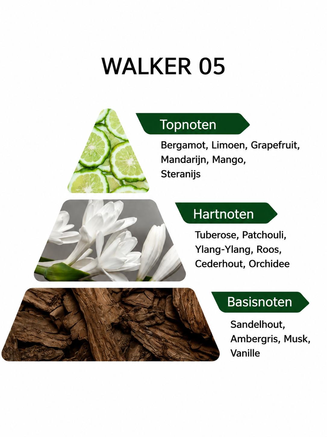 Niche Walker 05 - 50ML