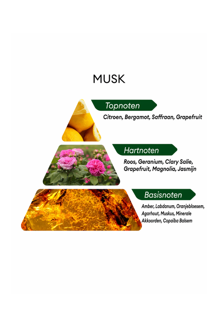 Boutique EDP Musk - 50ML