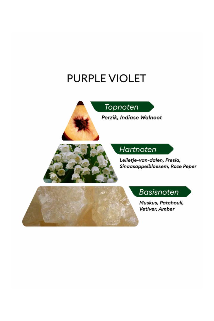 Purple Violet 1982 - 100 ML