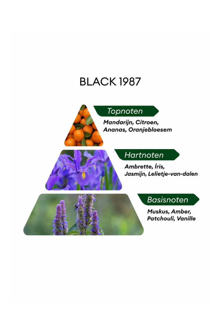 Unique Black 1987 - 100ML