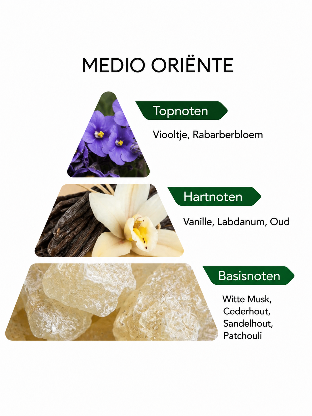 Medio Oriente Eau De Parfum - Caffè Leggero 100ML
