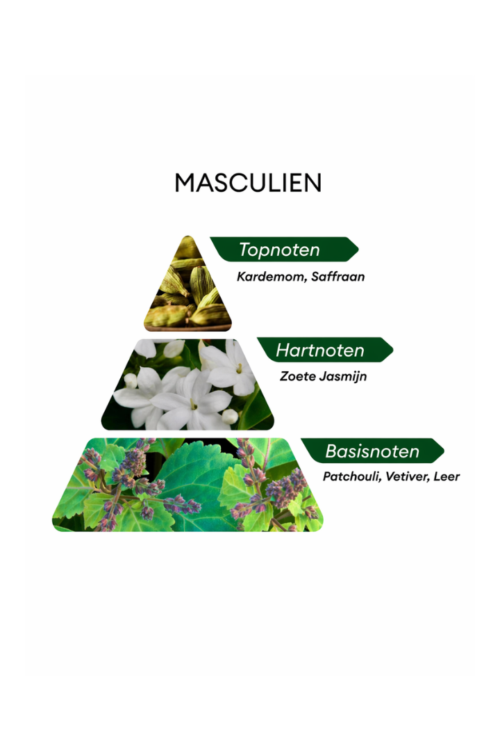 Boutique Extrait De Parfum Masculine - 50ML