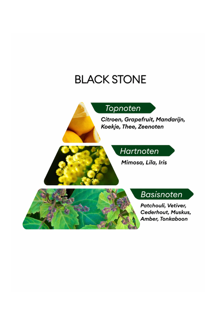 Black Stone 1982 - 100ML