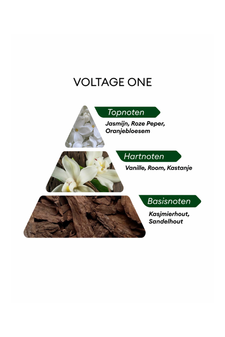 Niche Voltage One - 50ML