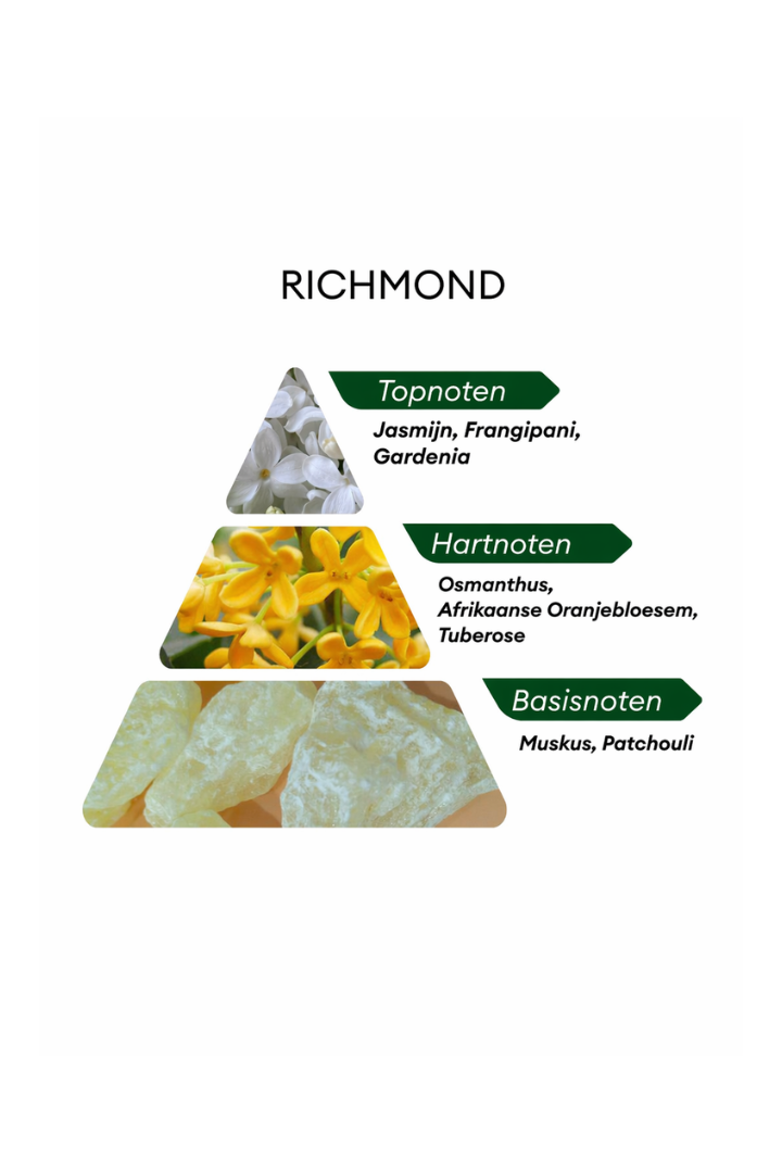 Niche Richmond - 50ML