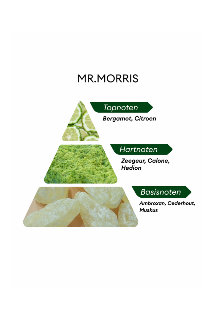Niche Mr. Morris - 50ML