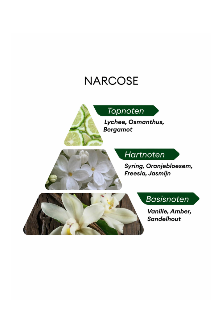 Niche Narcose - 50ML