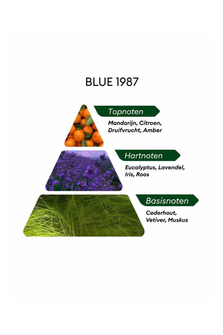 Unique Blue 1987 - 100ML