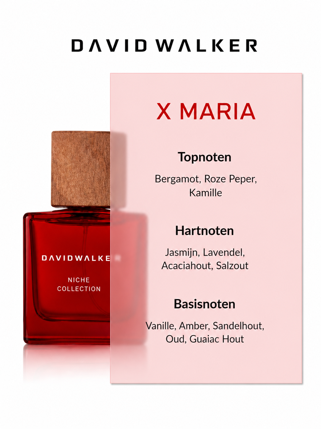 Niche X Maria - 50ML