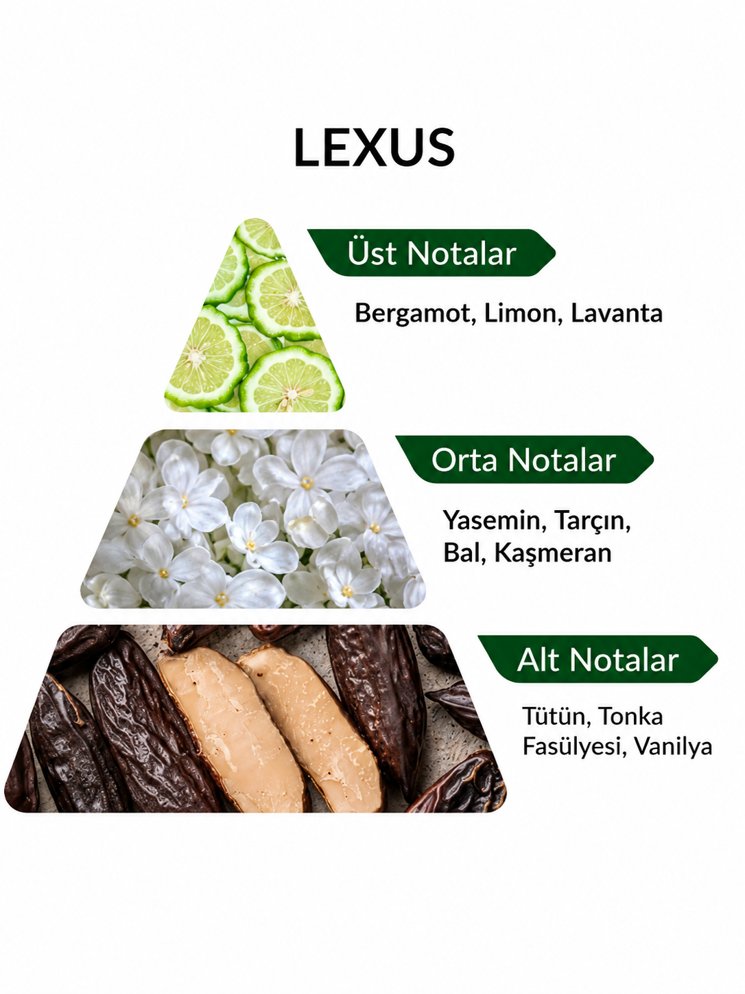Niche Lexus - 50ML